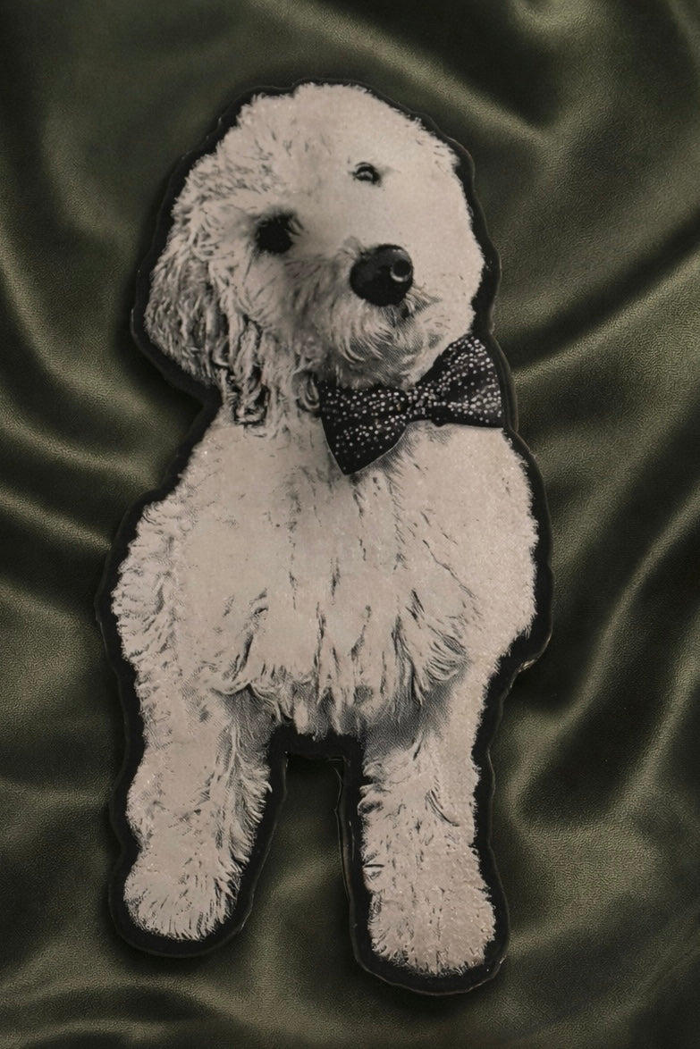 Custom Pet Portrait Magnets