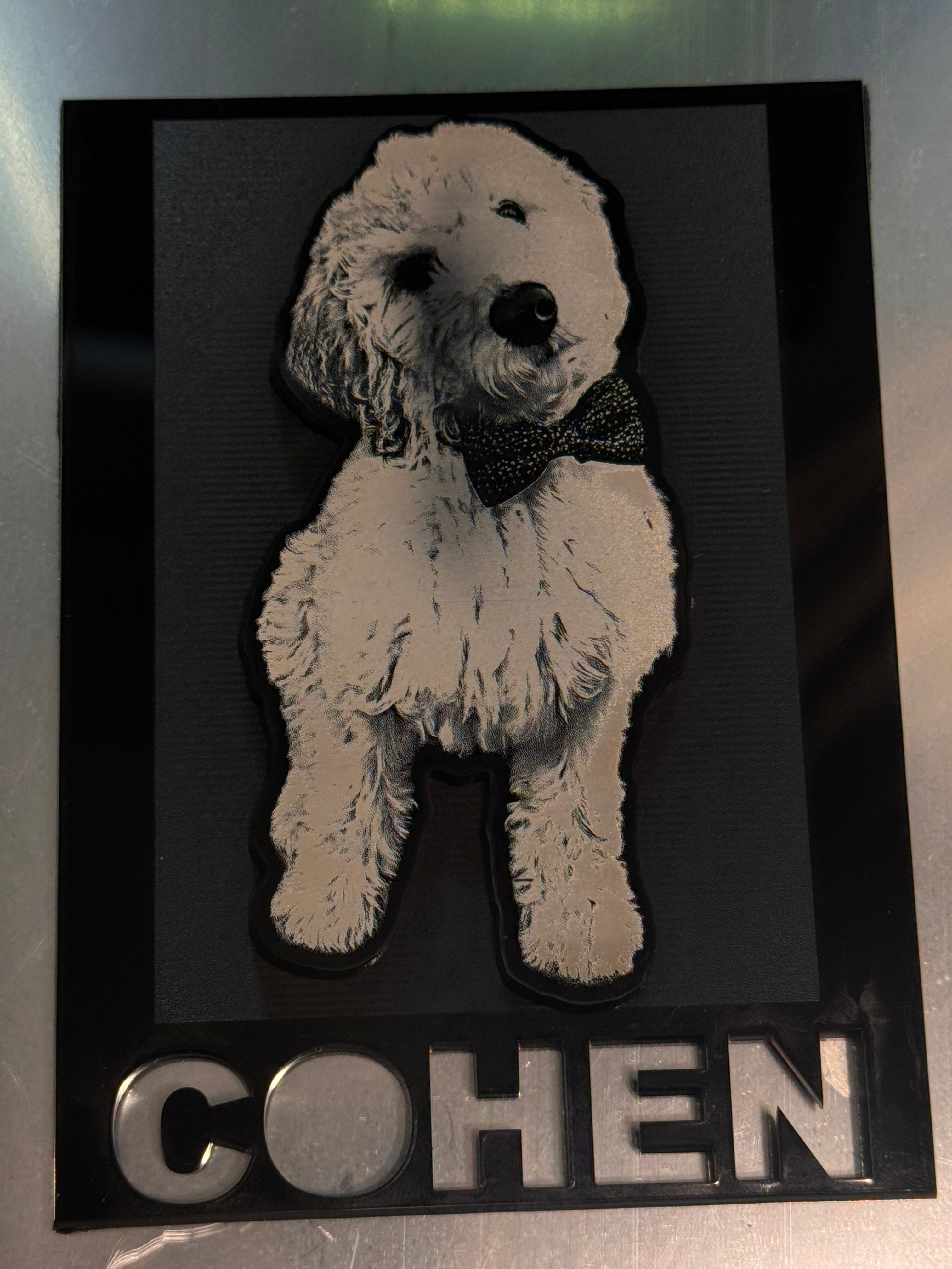 Custom Pet Portrait Magnets